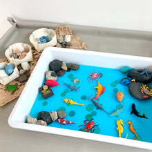 Load image into Gallery viewer, WITHIN Blooms™ - Terrazzo Rice