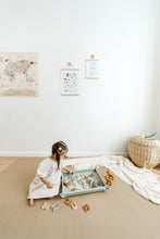 Load image into Gallery viewer, Signature 55 - Sage Oak
